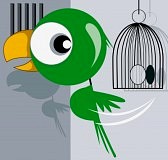 3389027-illustration-of-parrot-escaping-