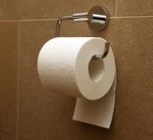 از توالت فرنگی استفاده کنیم یا معمولی؟ کدام دستشویی بهداشتی تر است