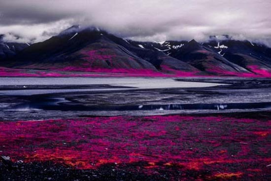 عکس های طبیعت,عکس های منحصربفرد از قطب شمال قطب شمال
