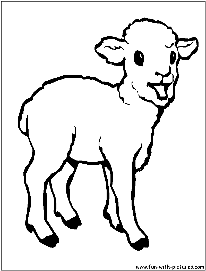 lamb-coloring-page.png