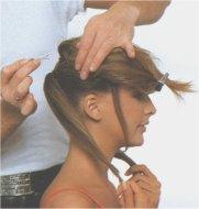 Image6 آموزش کامل انواع شینیون مو