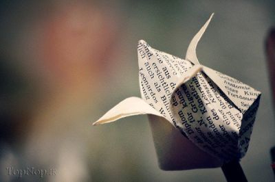 ساخت گل کاغذی,ساخت گل کاغذی ساده,ساخت گل کاغذی اوریگامی