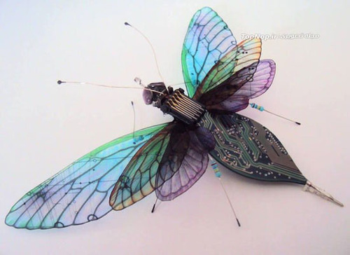 حشرات زیبای الکترونیکی (عکس)