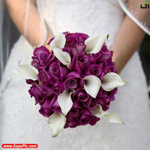 دست گل عروس 