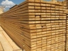 دربهای HDF مرکز تولید انواع درب چوبی ساختمان از قبیل : HDF - CNC - ABS - MDF - HPL  ضد آب و ضد سرقت وارداتی و تولید داخل