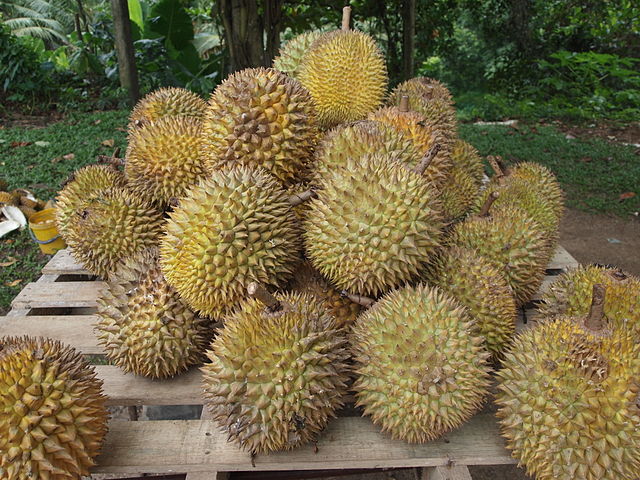 640px-Durian.jpg