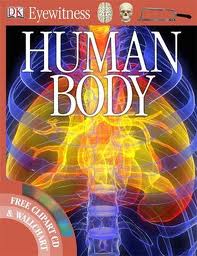 کتاب آناتومی بدن انسان
