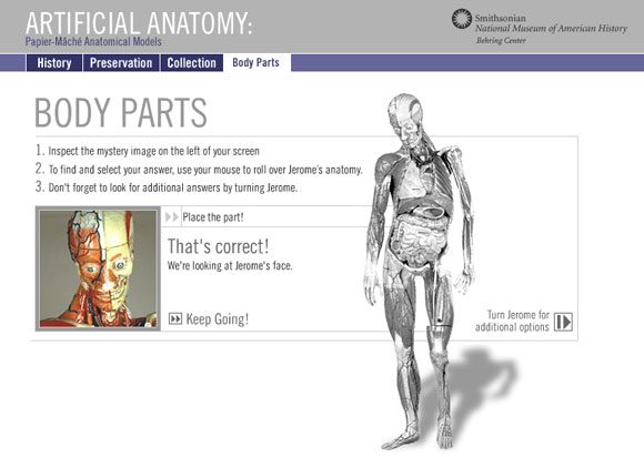 Anatomy05.jpg