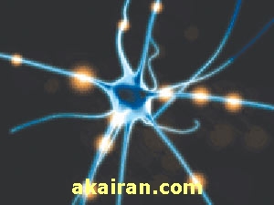 چگونگی کار نورون ها در فیزیک 