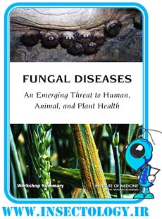 Fungal_Diseases_2011_insectology_ir_.jpg