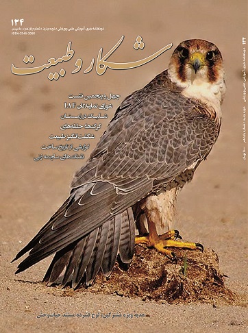 جلد مجله شکار و طبیعت