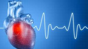 علت بیماری قلبی چیست? , علت نارحتی قلب چیست , علت بیماری قلبی،فشارخون،سکته مغزی 