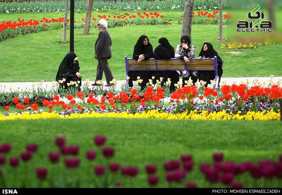 عکس, باغ گل‌های پیازی در مشهد مشهد,گل‌های پیازی,عکس های طبیعت