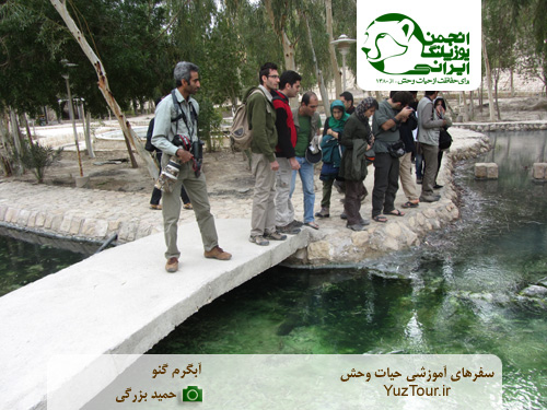 منطقه حفاظت شده گنو - تورهای حیات وحش انجمن یوزپلنگ ایرانی