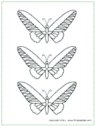 butterfly_small3.gif