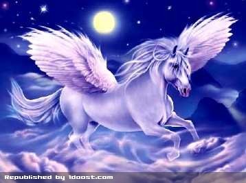 اسب بالدار پگاسوس (Pegasus)