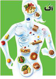 متابولیسم , متابولیسم چیست , متابولیسم بدن چیست 