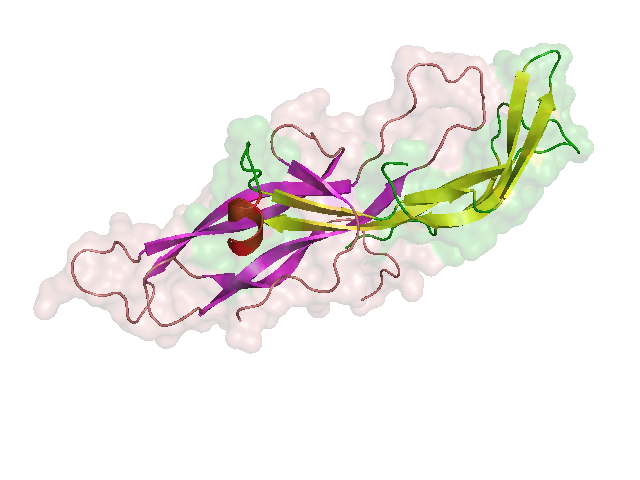 هیپوفیزقدامی-گلیکوپروتئینها