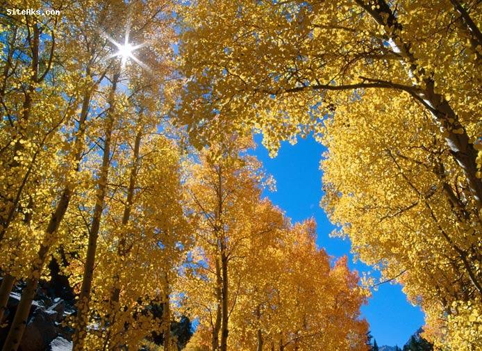 عکس های فوق العاده زیبا از فصل پاییز