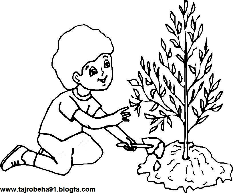 رنگ آمیزی کودکانه روز درختکاری