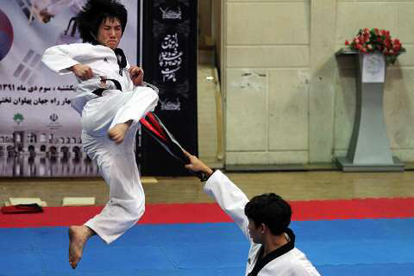 taekwondo-fajr%20(5).jpg
