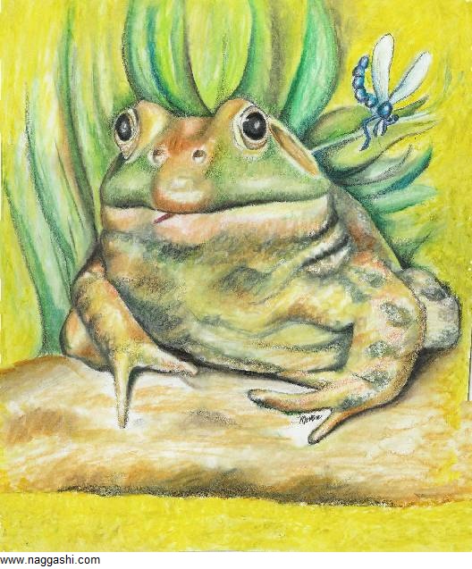 co-frog_3,www.naggashi.com