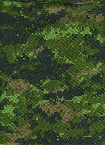 435px_CADPAT_digital_camouflage_p1ttern_