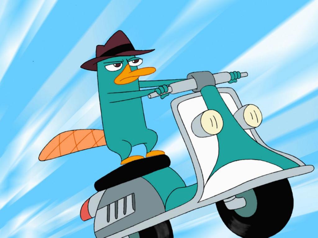 phineas_and_ferb_perry_wallpaper.jpg