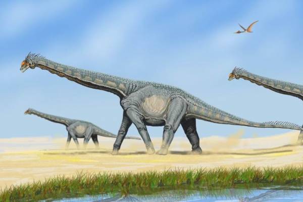 یک سوم تمام گونه های دایناسورها هرگز وجود نداشته اند 