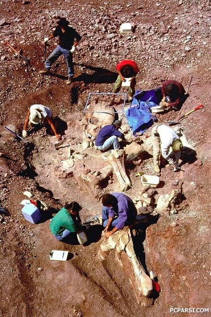 کشف  اسکلت باورنکردنی از انسان های غول پیکر در مصر (عکس)