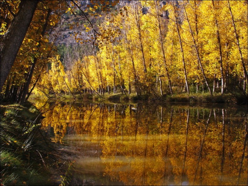زیبایی وصف ناپذیر فصل پاییز91|www.shadifun.com