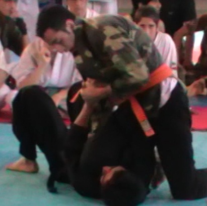 Hamed Golmohammadi Martial arts