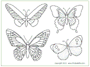 butterfly_small5.gif