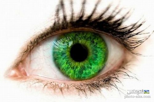 عکس چشم سبز خوشگل