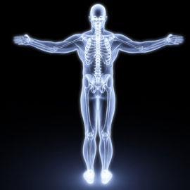 ۶ سفر مجازی در اعماق آنوتومی بدن انسان