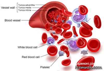 اصطلاحات آزمایش خون و ادرار 