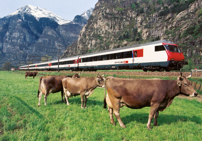 انواع قطار در اروپا 