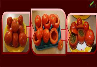 ترشی گوجه فرنگی و فلفل دلمه ای شکم پر - آکا