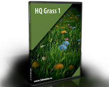 HQ Grass 1