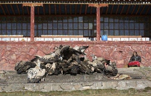 عکس های عجیب,عجیب ترین مراسم تدفین در دنیا +عکس تبت,مراسم تدفین,عجیب ترین
