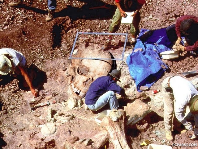 کشف اسکلت باورنکردنی از انسان های غول پیکر در مصر (عکس)