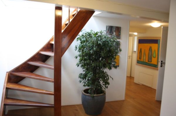 wood-spiral-staircase.jpg