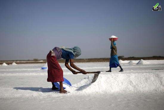 عکس های دیدنی جهان,تصاویر جالب از نمکستان هندی! هند,نمکستان,نمک