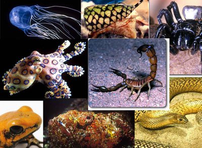 تکامل زهر در جانوران سمی,انواع زهر و کاربردهای زهر در جانوراه سمی