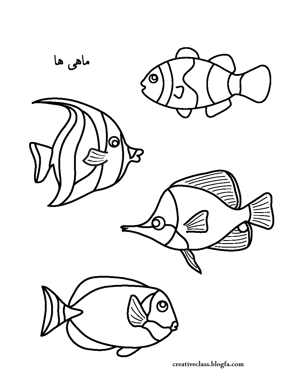 ماهی ها