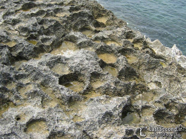 سنگهای مرجانی در منطقه ساحلی کیش