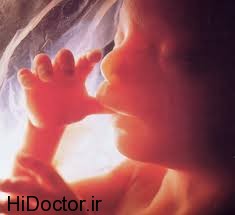 شناسایی شنوایی جنین در بارداری , تشخیص شنوایی جنین , شنوایی جنین 