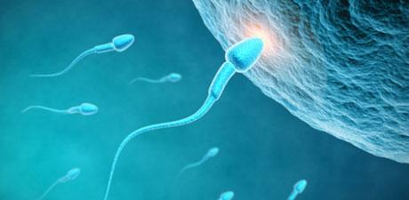 وجود دانه های ژله ای در اسپرم 