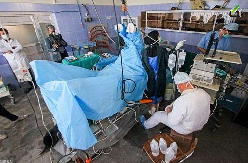 عکس: جراحی نادر پای اسب در مشهد جراحی,اسب