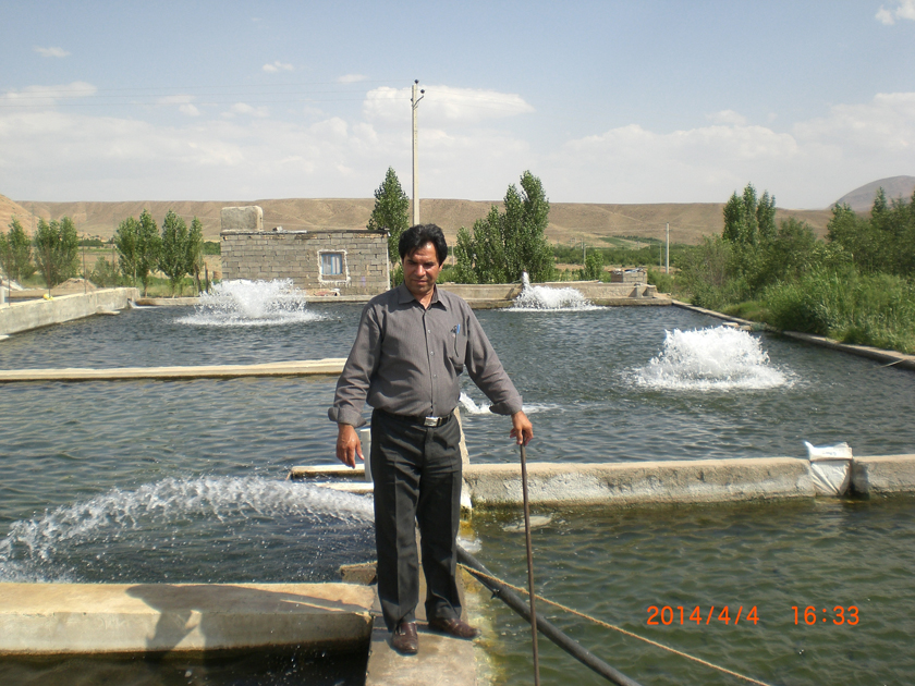 استخر پرورش ماهی حسن ملکی